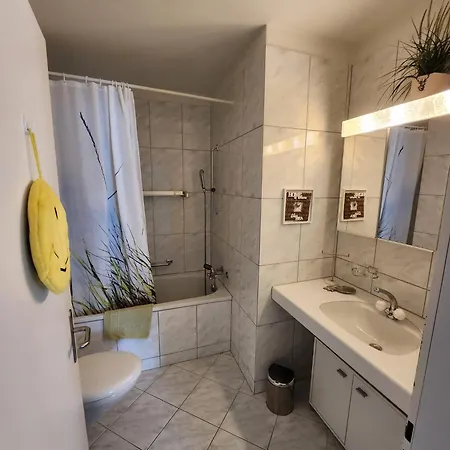 4 115m2 Gartenwohnung An Der Jakobshorn Talstation Neben Wander- Und Mountainbikeparadise